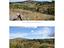 Immagine 29