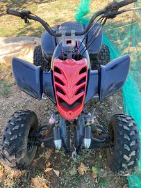 WT Motors Altro modello - 2010