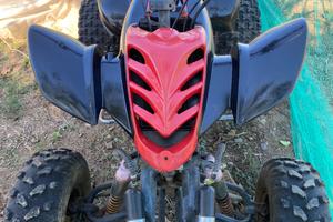 WT Motors Altro modello - 2010