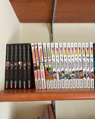 Lotto Manga