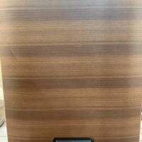 Congelatore a pozzetto