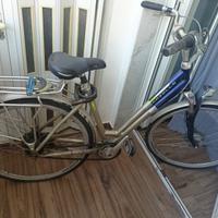 Bicicletta Gazelle Chamonix Sportive Style