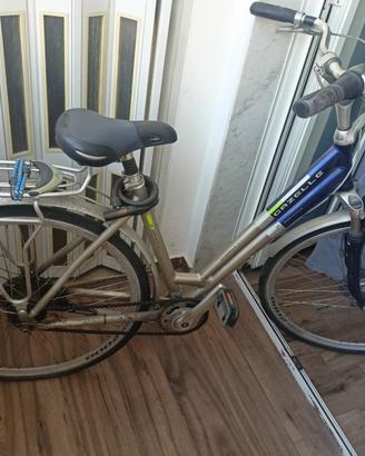 Bicicletta Gazelle Chamonix Sportive Style