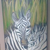 quadro Zebra