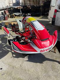 Telaio Birel Art S18