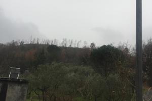 Vendita terreno agricolo