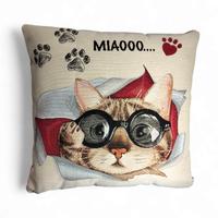 Cuscino Gobelin e Velluto