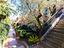 Immagine 27