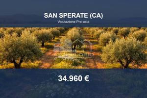 Immobile in asta di 21130 m² a San Sperate