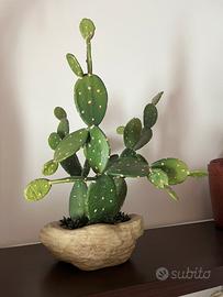 Cactus decorativo