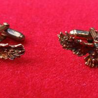 Aeronautica Militare gemelli aquila argento