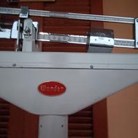 Bilancia professionale pesapersone weber