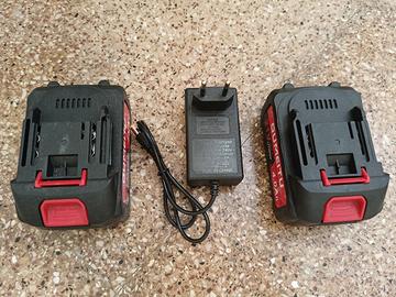 Batterie decespugliatore elettrico 