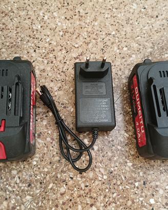 Batterie decespugliatore elettrico 