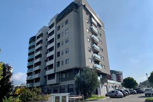 A STUDENTESSE / LAVORATRICI - stanze