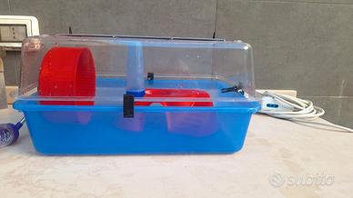 gabbia per criceti e roditori