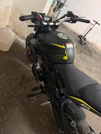 brutus 110 e lem