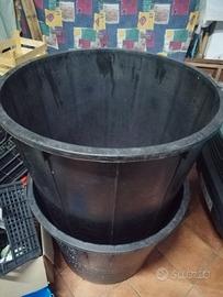 tino da vino 5 quintali