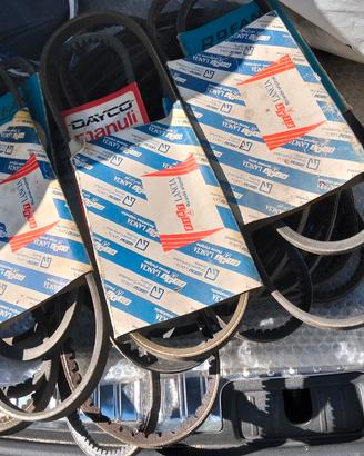 cinghie dentate Fiat e Lancia 
