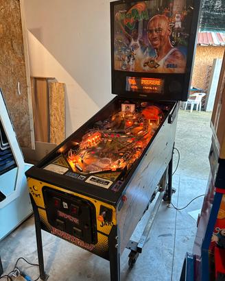 Flipper pinball Space Jam