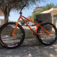 Bici dirt / park 26
