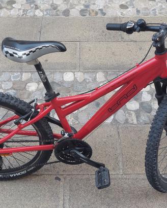 Mountain Bike per bambini