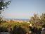 Immagine 21