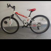Bottecchia 24