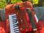 Immagine 1