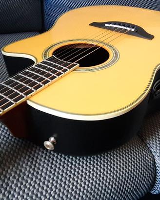 Chitarra acustica Ovation collector's ES2005