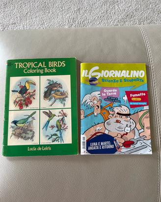 2 libri/giornalino  bimbo