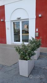 Persiane alluminio infissi ovc Spissu porte pronte