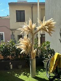 Albero pampas