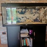 acquario juwel  rio 240 litri 