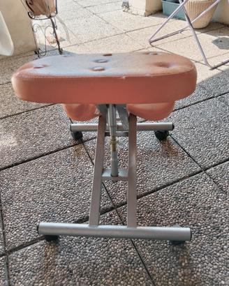 Sedia ergonomica