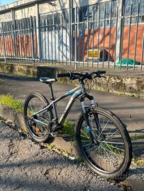 la bici mtb ROKCRIDER ST100 ruota26