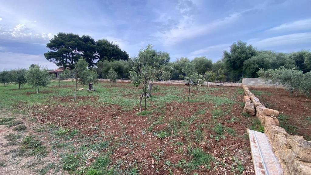 Terreno di 1600 m² a Carini - Altro