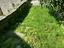 Immagine 10