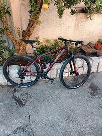 Wilier Triestina 101XN