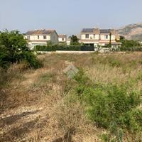 TER. AGRICOLO A CARINI