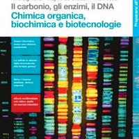Il carbonio, gli enzimi, il DNA