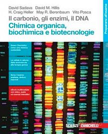 Il carbonio, gli enzimi, il DNA