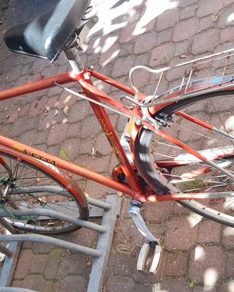 bici uomo