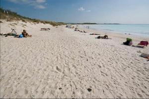 Vada- Vicino alla Spiaggia posto auto riservato