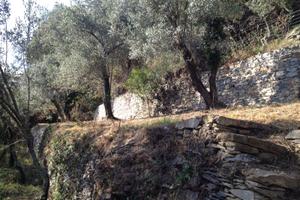 Terreno a st Ilario di Mq 120recintato