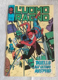 uomo ragno 
