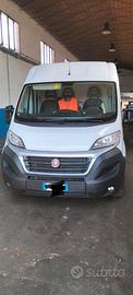 FIAT Ducato Bianco