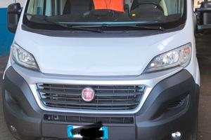 FIAT Ducato Bianco