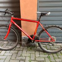 Bicicletta MTB Bottecchia 883 R Tempest