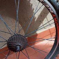 Ruote MTB